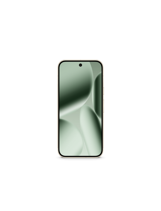 Pixel 10 Pro | 256 GB | Jade