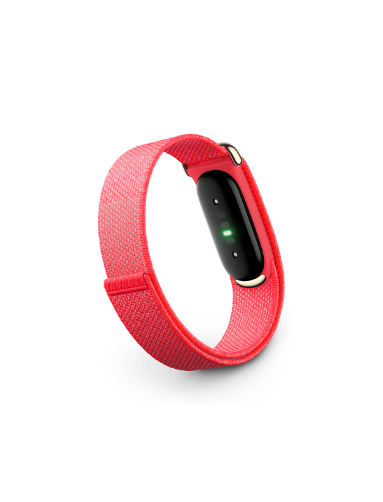 Google Fitbit Air | Berry