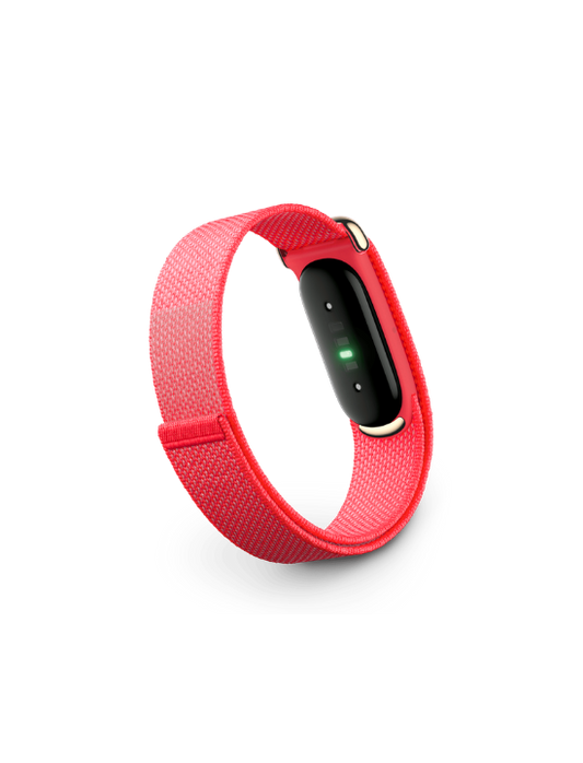 Google Fitbit Air | Berry