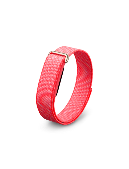 Google Fitbit Air | Berry