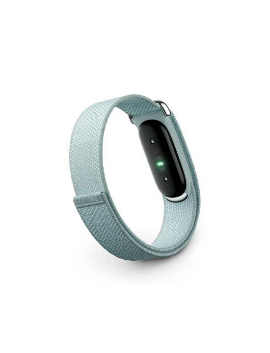 Google Fitbit Air | Fog