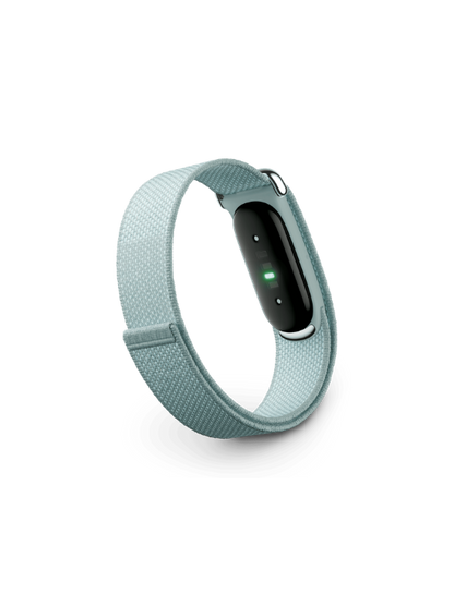 Google Fitbit Air | Fog