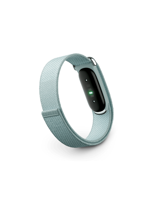 Google Fitbit Air | Fog