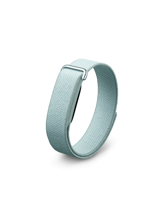 Google Fitbit Air | Fog