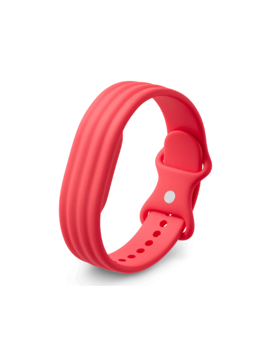 Google Fitbit Air Active Band | Berry | Small