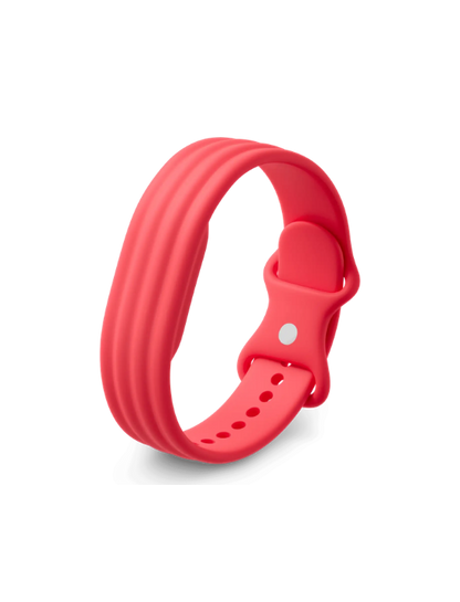 Google Fitbit Air Active Band | Berry | Small