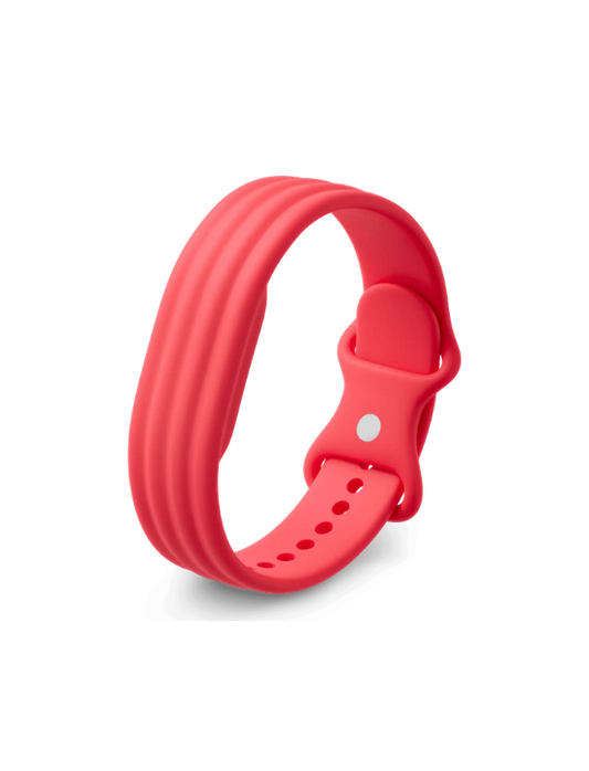 Google Fitbit Air Active Band | Berry | Large