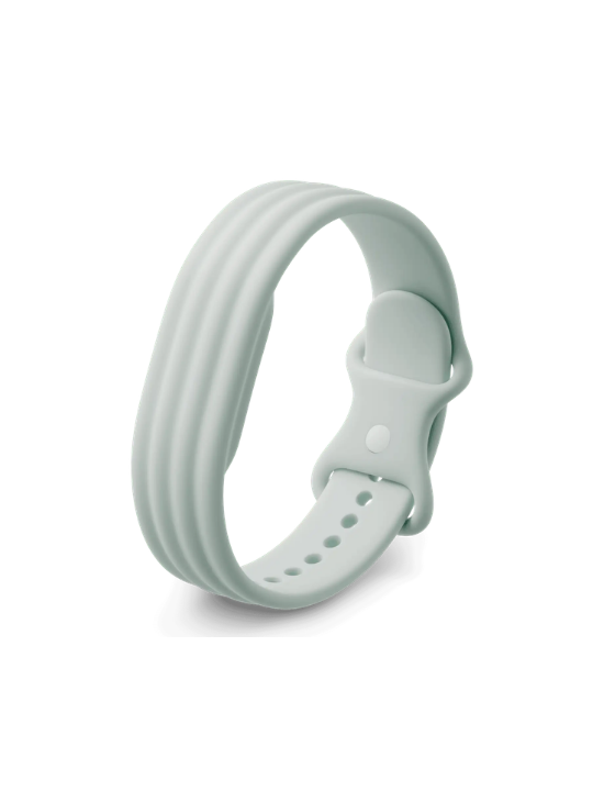 Google Fitbit Air Active Band | Fog | Small