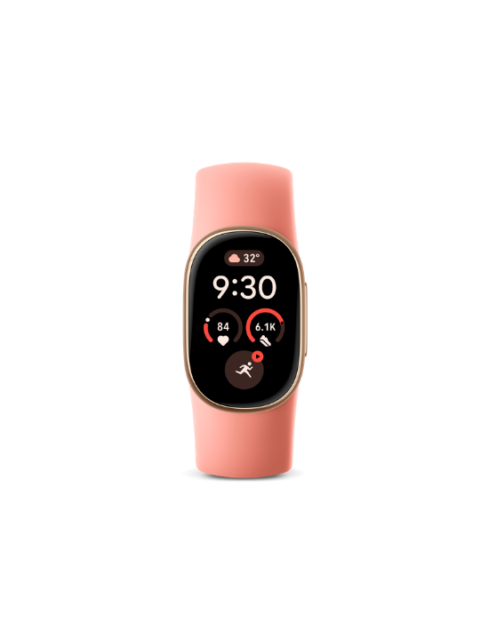 Google Fitbit Edge | Canyon