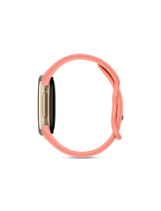 Google Fitbit Edge | Canyon