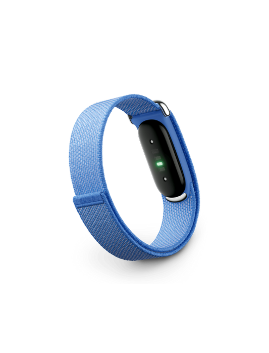 Google Fitbit Air | Levander