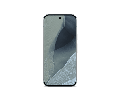 Google Pixel 11 Pro | 256 GB | Fog