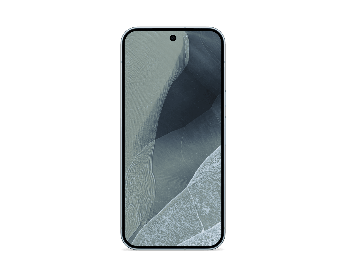 Google Pixel 11 Pro XL | 256 GB | Fog
