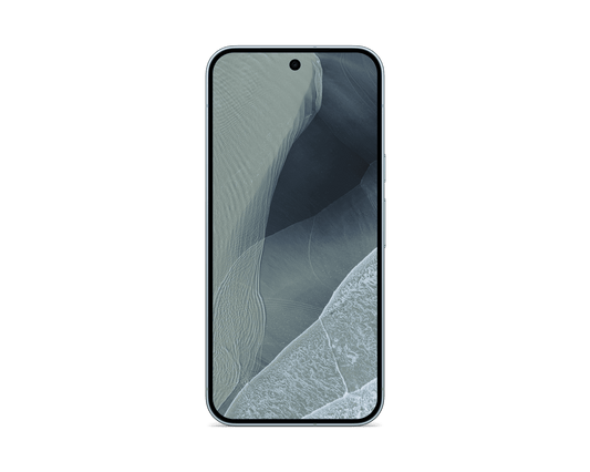 Google Pixel 11 Pro XL | 256 GB | Fog