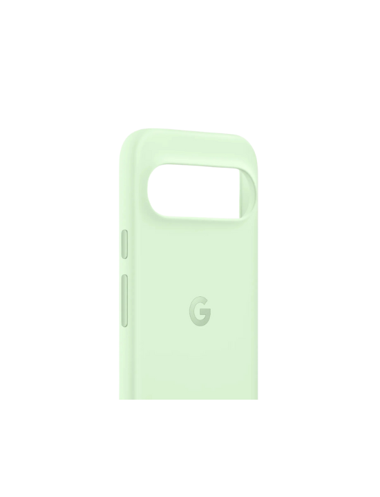 Google Pixel 9 Pro Case | Wintergreen